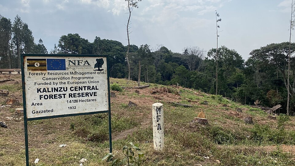 A sign and surrounding landscape at Kalinzu Central Forest Reserve.
