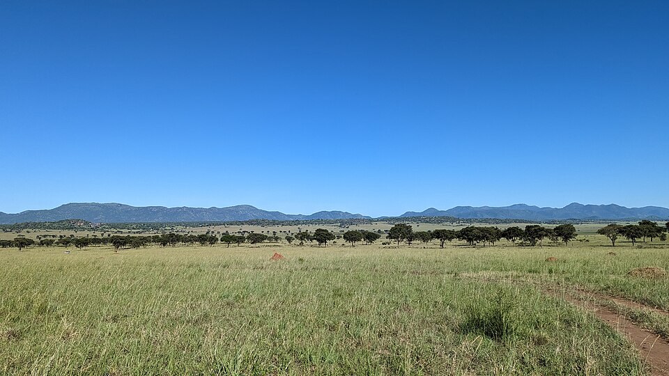 Broad grassland and distant hills in Kidepo Valley National Park.