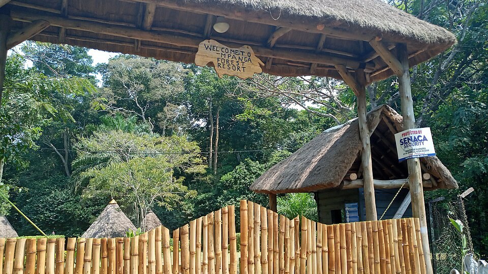 A bamboo entrance structure at Mpanga Forest.