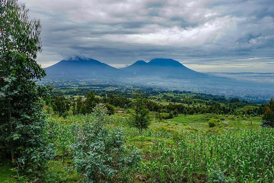 The volcanic landscape of Volcanoes National Park in Rwanda.