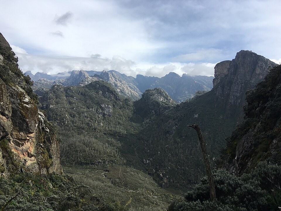 Rocky mountain scenery in the Rwenzori Mountains National Park.