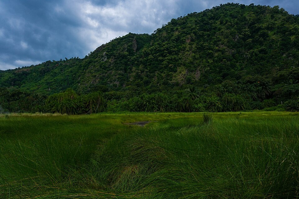 Vegetation and a wooded hillside photographed in Semuliki National Park.